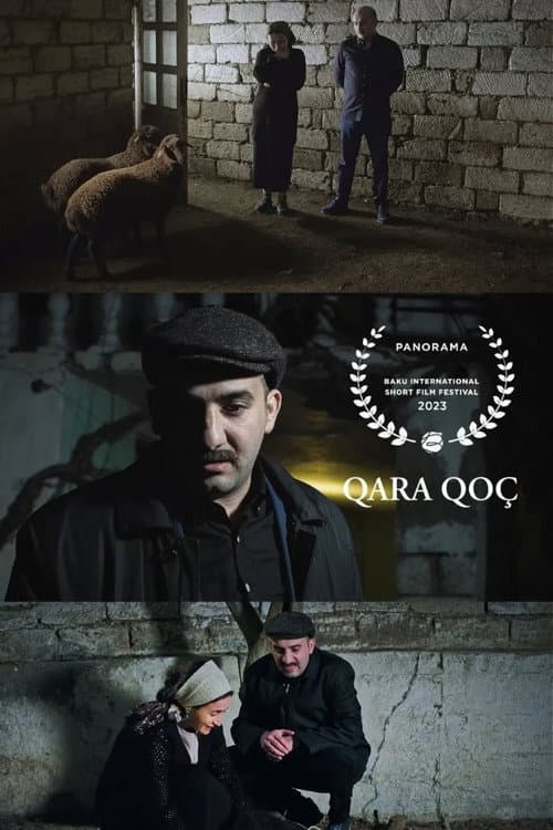 Qara Qoç afişi