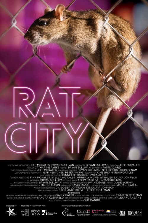 Rat City afişi