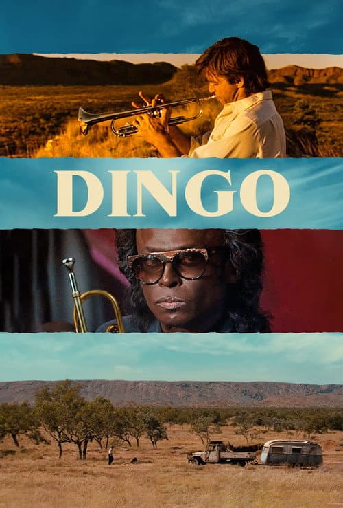 Dingo afişi