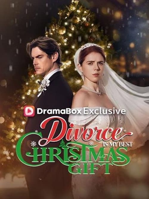 Divorce Is My Best Christmas Gift afişi