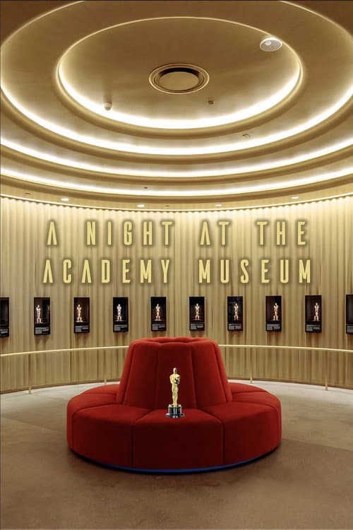 A Night at the Academy Museum afişi