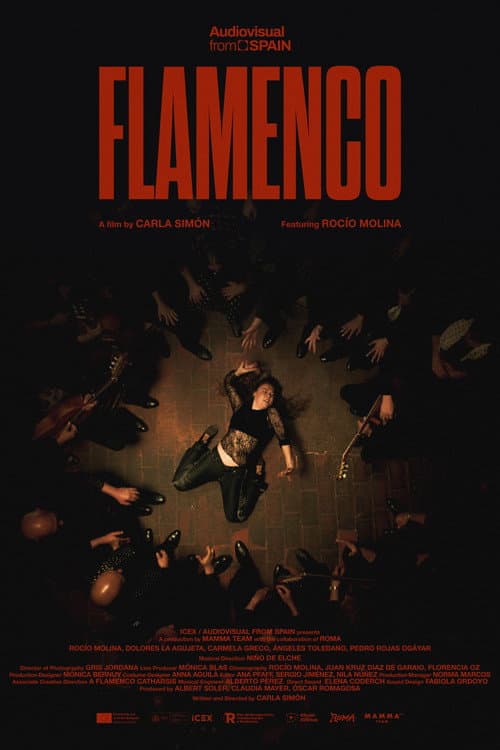 Flamenco afişi