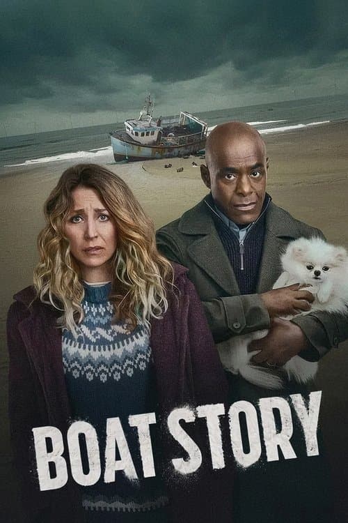 Boat Story afişi