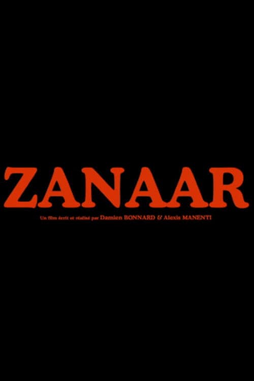 Zanaar afişi