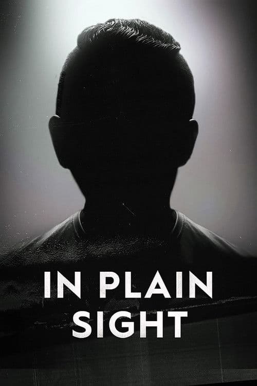 In Plain Sight afişi