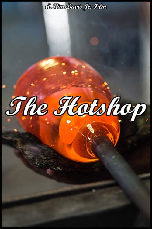 The Hotshop afişi