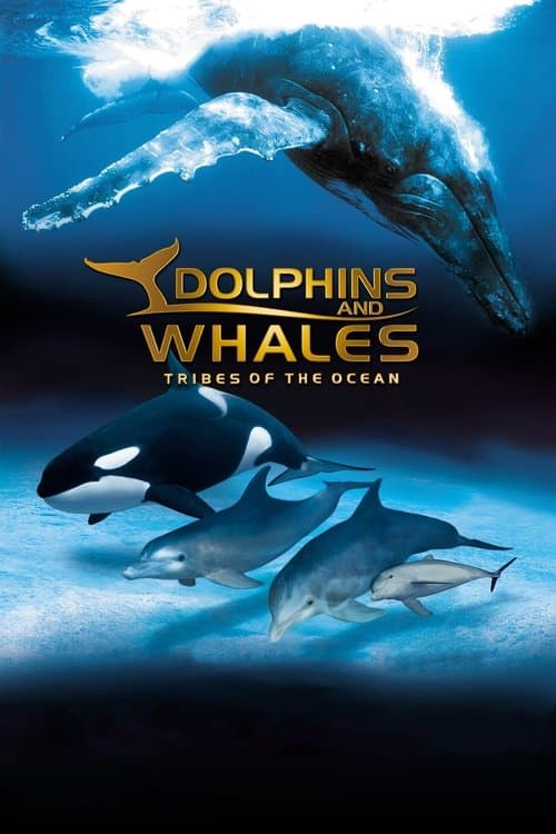 IMAX Dolphins and Whales: Tribes of the Ocean afişi