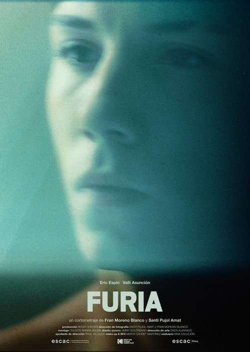 Furia afişi