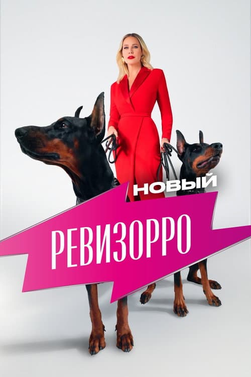 New Revizorro afişi