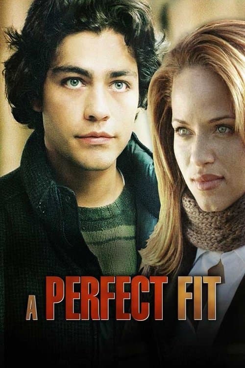 A Perfect Fit afişi
