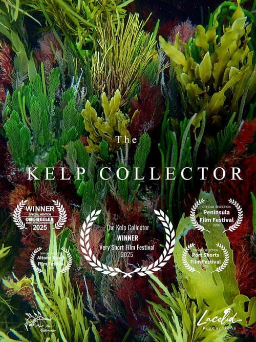 The kelp collector afişi