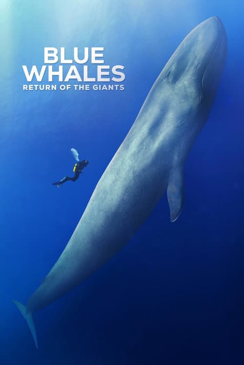 Blue Whales: Return of the Giants afişi