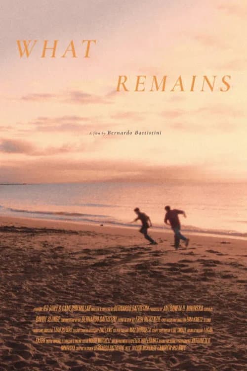 What Remains afişi