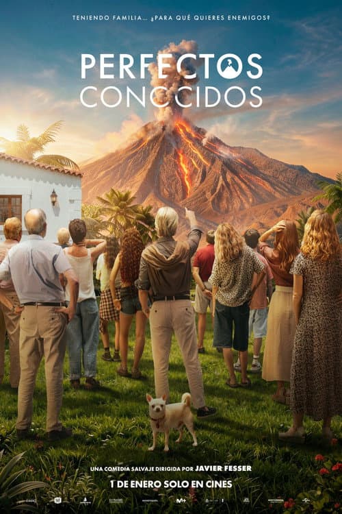 Perfectos conocidos afişi