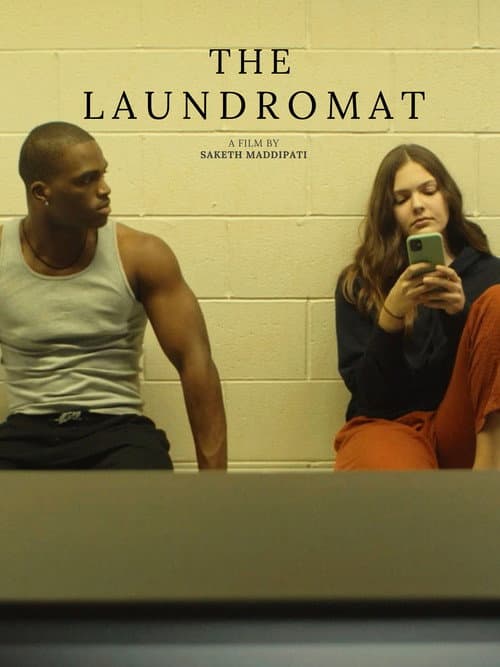 The Laundromat afişi