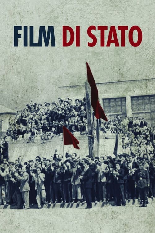 Film di Stato afişi