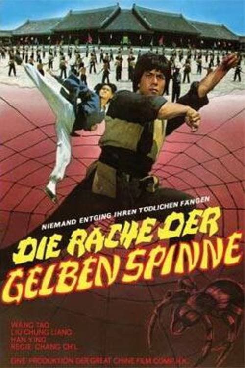 Death Duel of Kung Fu afişi