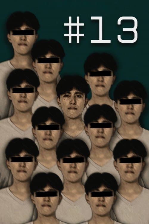 #13 afişi