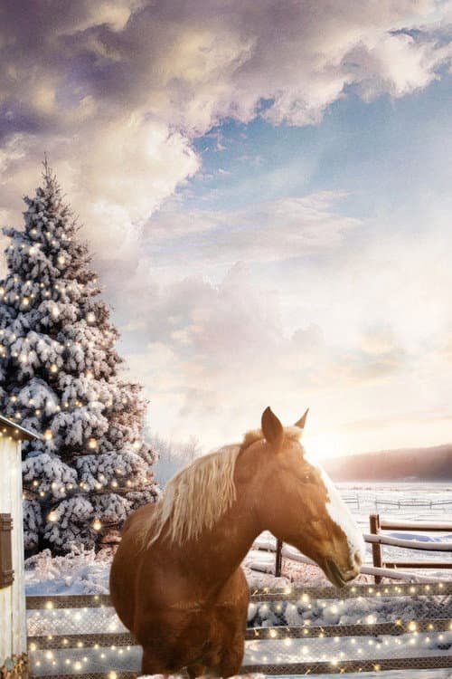 December Horses afişi