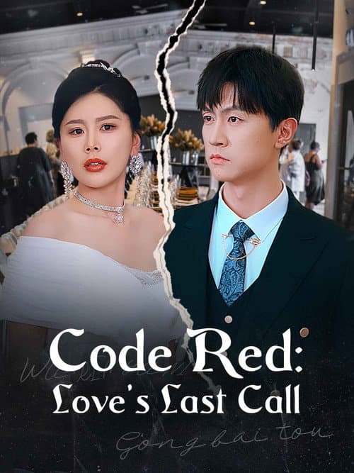 Code Red: Love’s Last Call afişi
