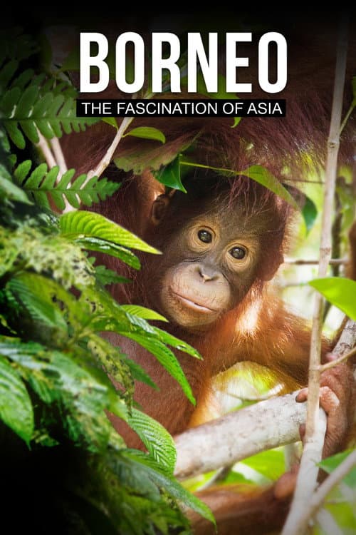 Borneo: The Fascination of Asia afişi