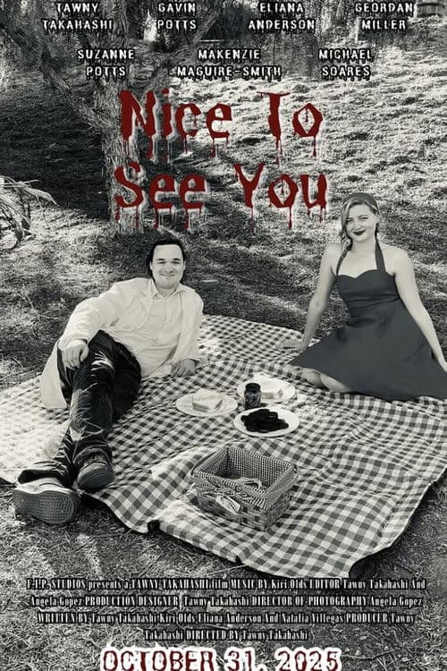 Nice to See You afişi
