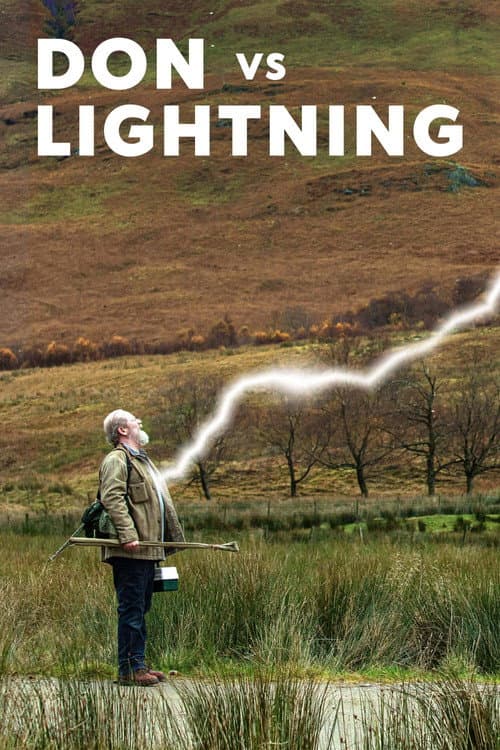 Don vs Lightning afişi