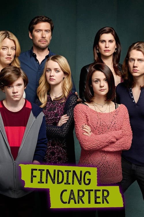 Finding Carter afişi