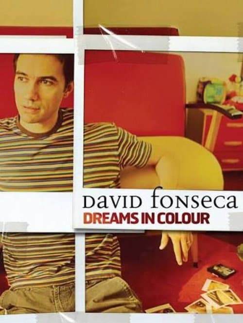 David Fonseca - Dreams In Loop Live afişi