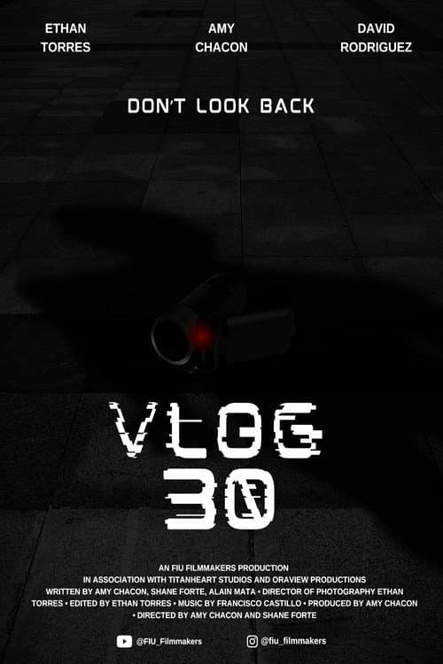 Vlog 30 afişi