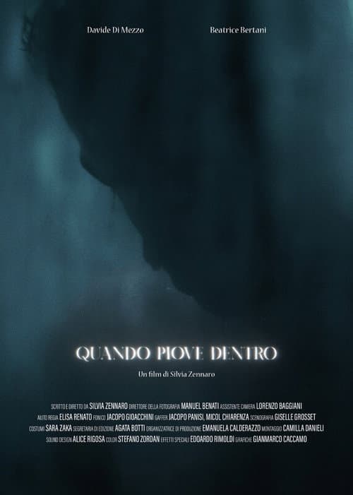 Quando piove dentro afişi