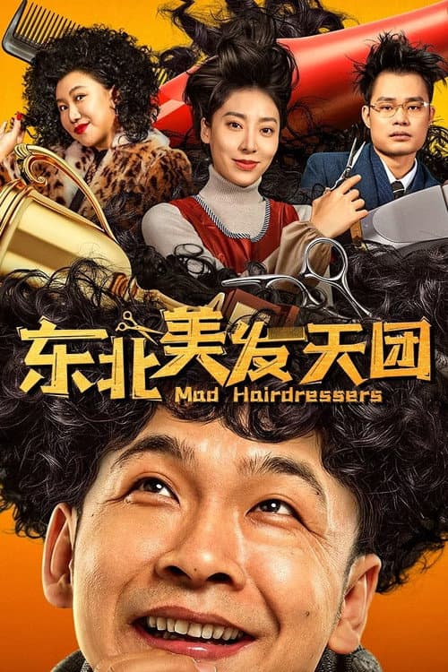 Mad Hairdressers afişi