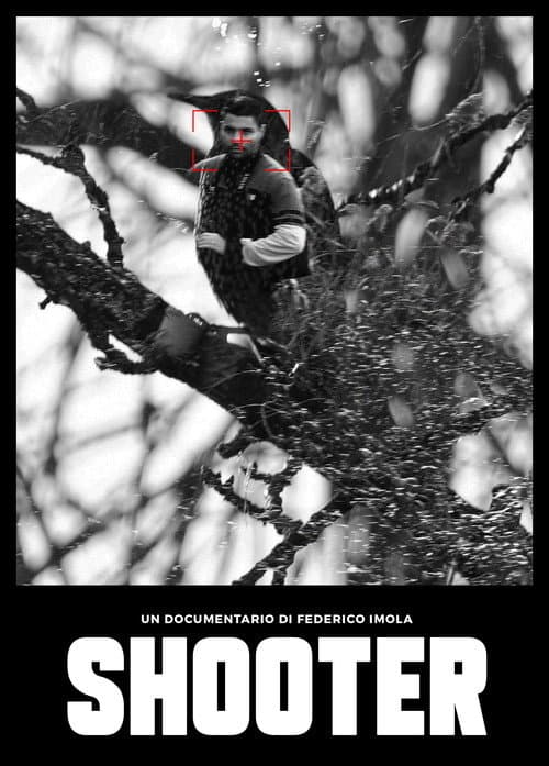 SHOOTER afişi