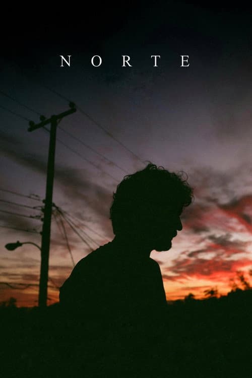 Norte afişi