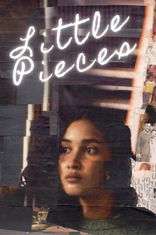 Little Pieces afişi