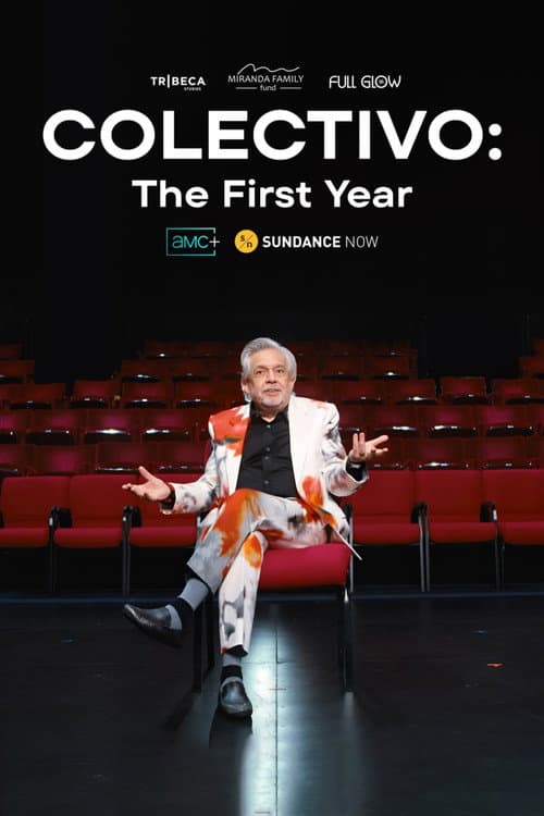 COLECTIVO: The First Year afişi