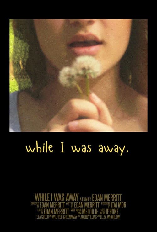 while I was away afişi