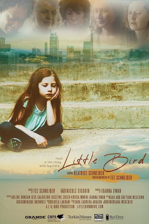 Little Bird afişi