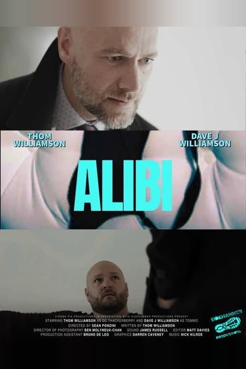 Alibi afişi