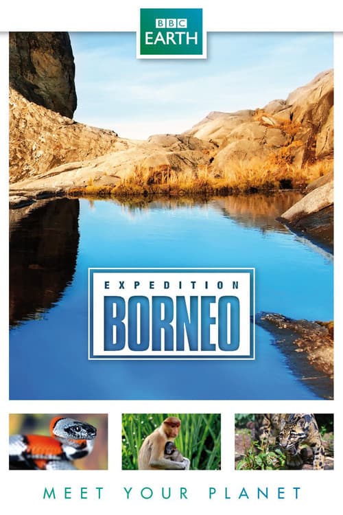 Expedition Borneo afişi