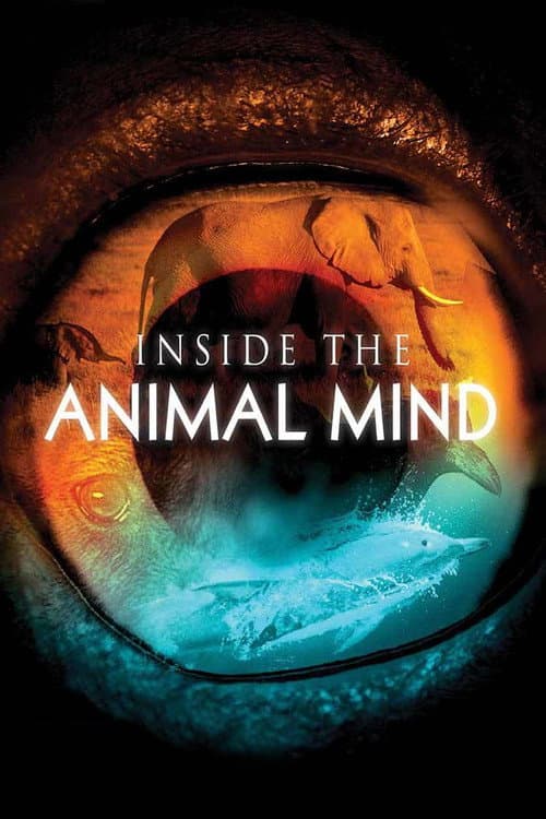 Inside the Animal Mind afişi