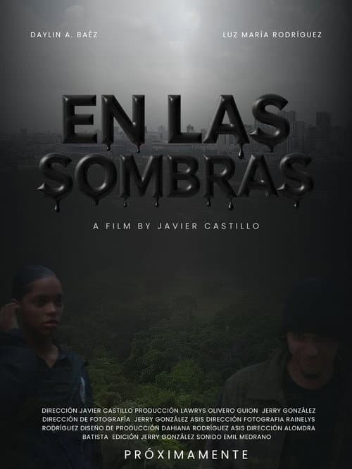 EN LAS SOMBRAS afişi