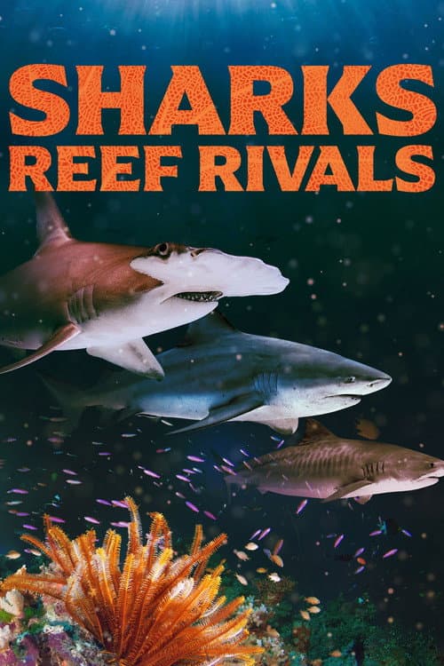 Sharks: Reef Rivals afişi