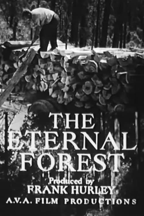 The Eternal Forest afişi