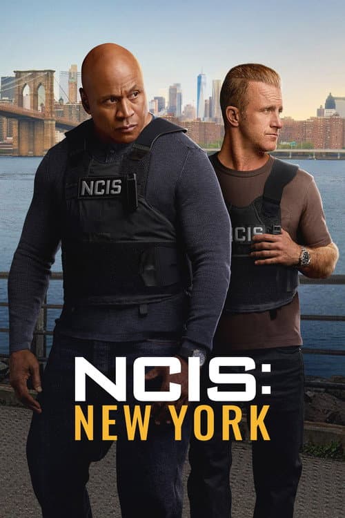 NCIS: New York afişi