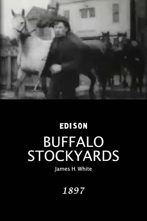 Buffalo Stockyards afişi