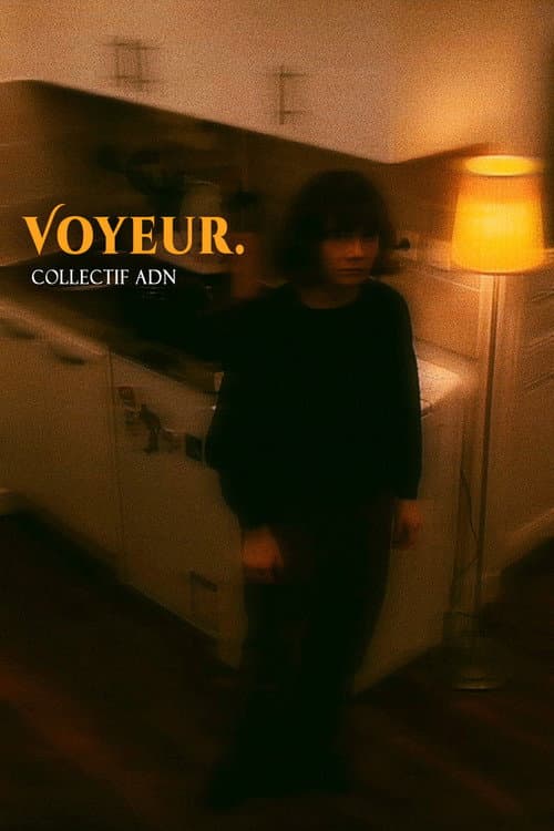 Voyeur afişi