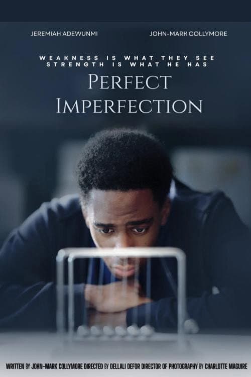 Perfect Imperfection afişi