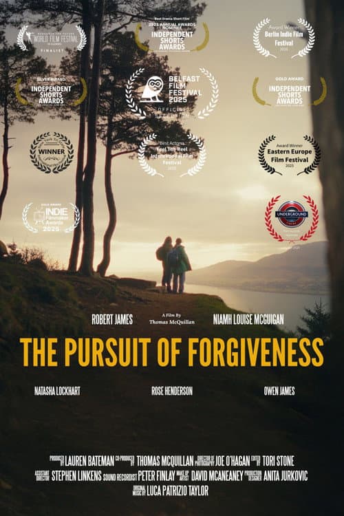 The Pursuit Of Forgiveness afişi