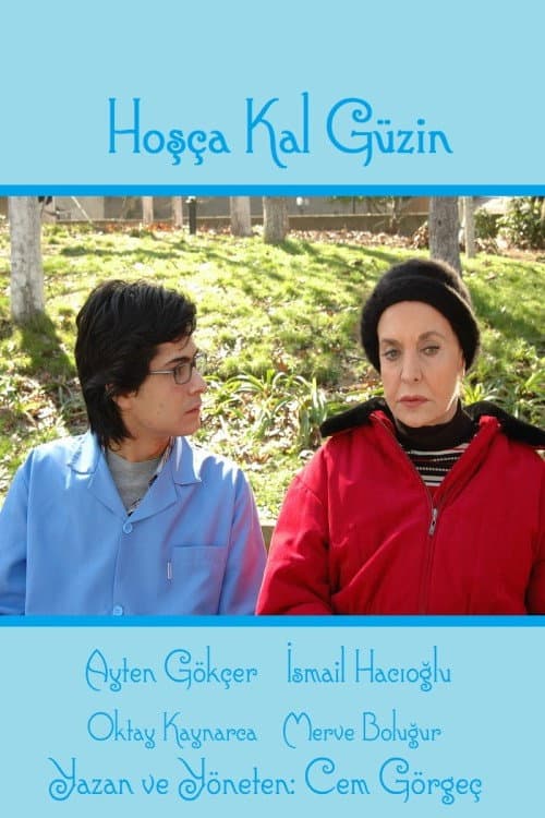 Hoşça Kal Güzin afişi